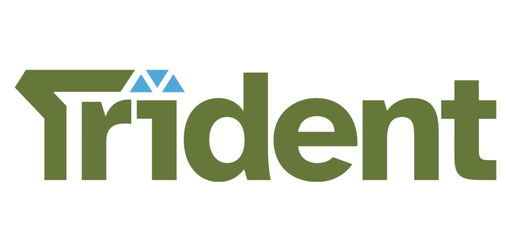 Trident GmbH Logo